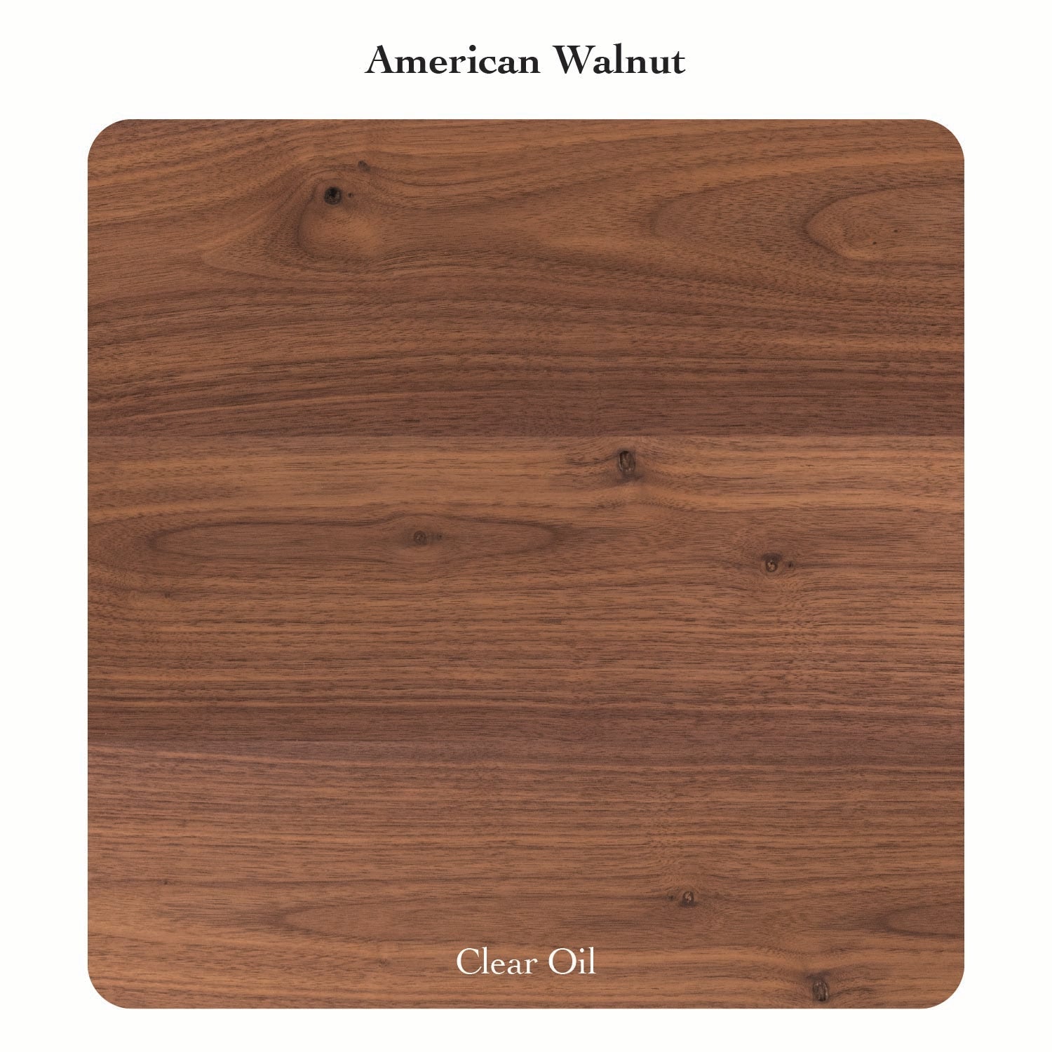 Classic Steel Bench - Renouve Studios